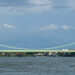 Rodenkirchener Brücke