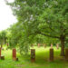 Museum Insel Hombroich