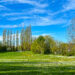 Grüne Insel in der Großstadt
