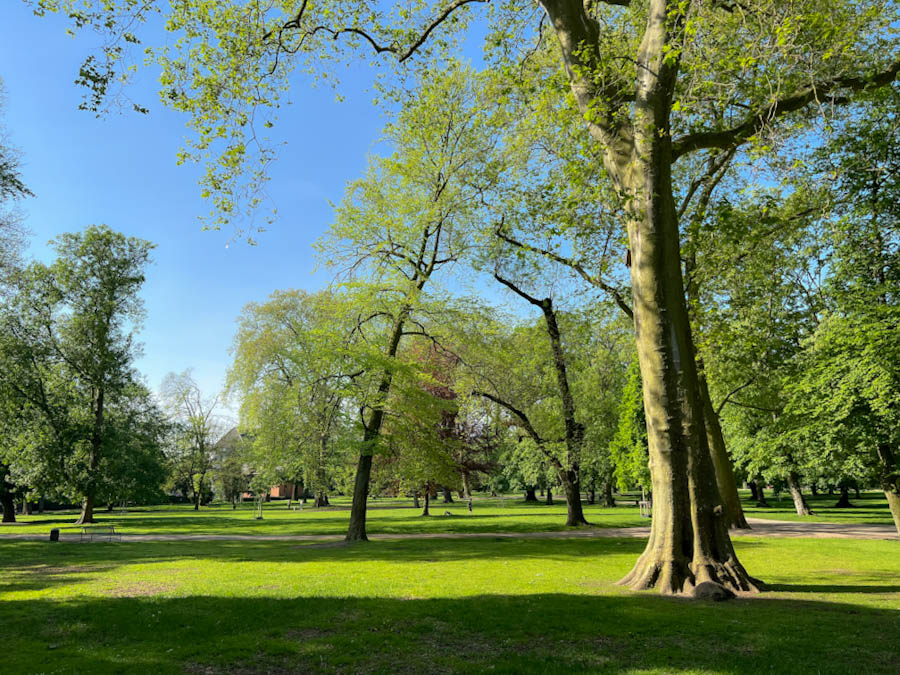 Kölner Stadtgarten