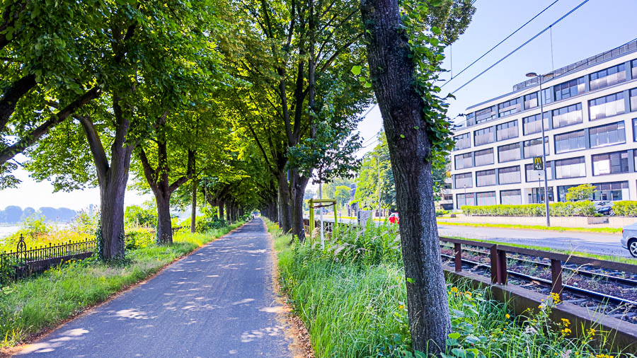 Alle zwischen Rheinuferstraße und Rhein